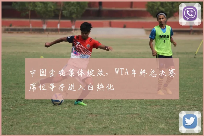 中国金花集体绽放，WTA年终总决赛席位争夺进入白热化