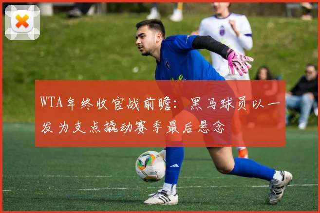 WTA年终收官战前瞻：黑马球员以一发为支点撬动赛季最后悬念