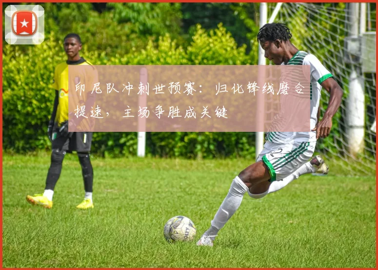 印尼队冲刺世预赛：归化锋线磨合提速，主场争胜成关键