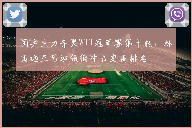 国乒主力齐聚WTT冠军赛第十轮，林高远王艺迪领衔冲击更高排名