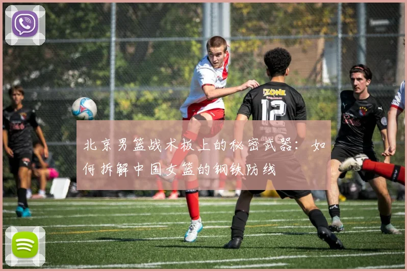 北京男篮战术板上的秘密武器：如何拆解中国女篮的钢铁防线