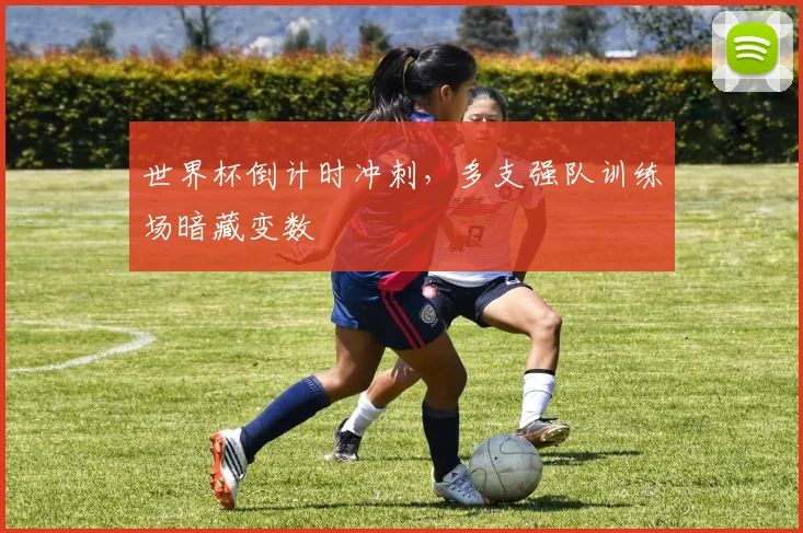 世界杯倒计时冲刺，多支强队训练场暗藏变数