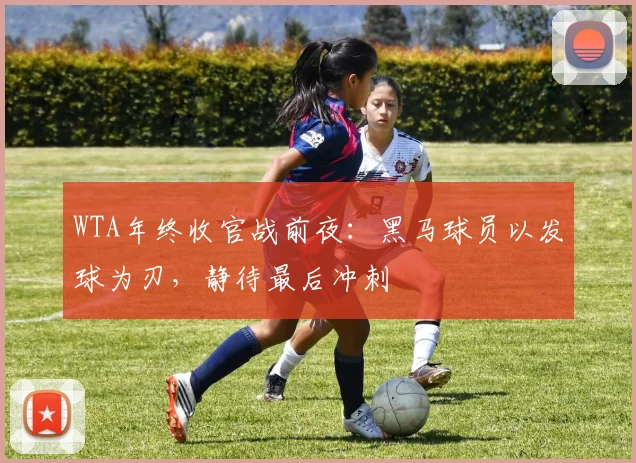 WTA年终收官战前夜：黑马球员以发球为刃，静待最后冲刺