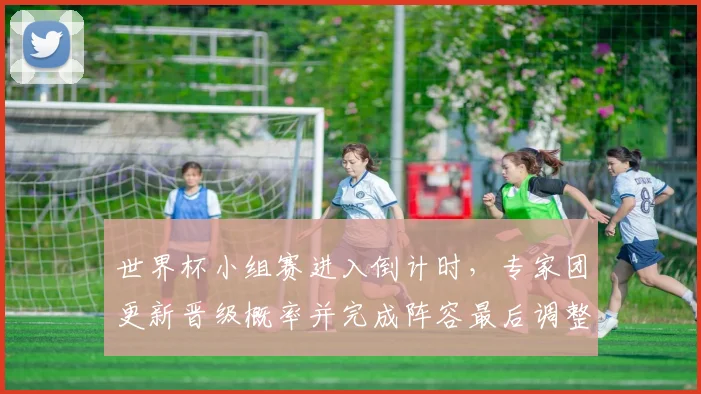 世界杯小组赛进入倒计时，专家团更新晋级概率并完成阵容最后调整