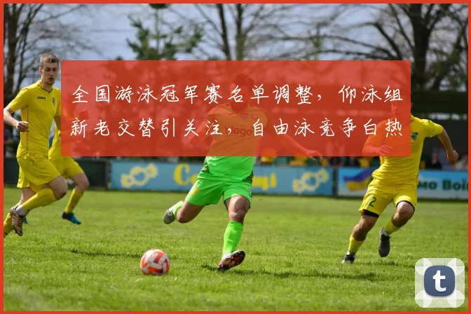 全国游泳冠军赛名单调整，仰泳组新老交替引关注，自由泳竞争白热化